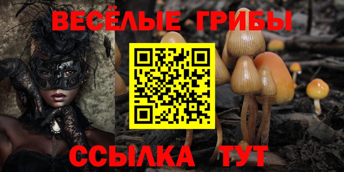 Галлюциногенные грибы Magic Shrooms  Вход с VPN  Миллерово 