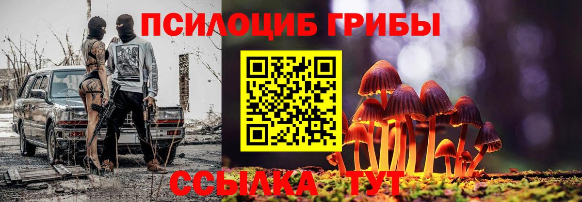 Псилоцибиновые грибы Cubensis Миллерово